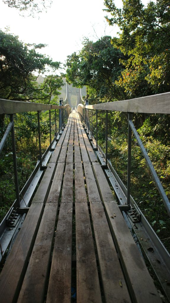 Ponte África do Sul