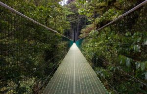 Imagem de acesso ao artigo sobre o desporto na Costa Rica 