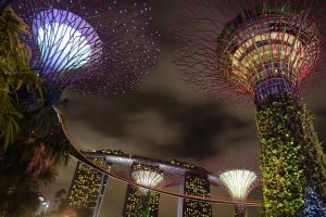 Superárvores iluminadas do Gardens by the Bay à noite, com o Marina Bay Sands visível ao fundo