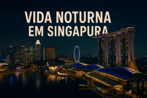 A vida noturna em Singapura, Ligação.