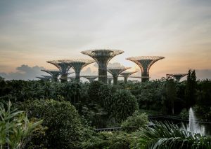 https://images.unsplash.com/photo-1605425183435-25b7e99104a4?q=80&w=1964&auto=format&fit=crop&ixlib=rb-4.1.0&ixid=M3wxMjA3fDB8MHxwaG90by1wYWdlfHx8fGVufDB8fHx8fA%3D%3D