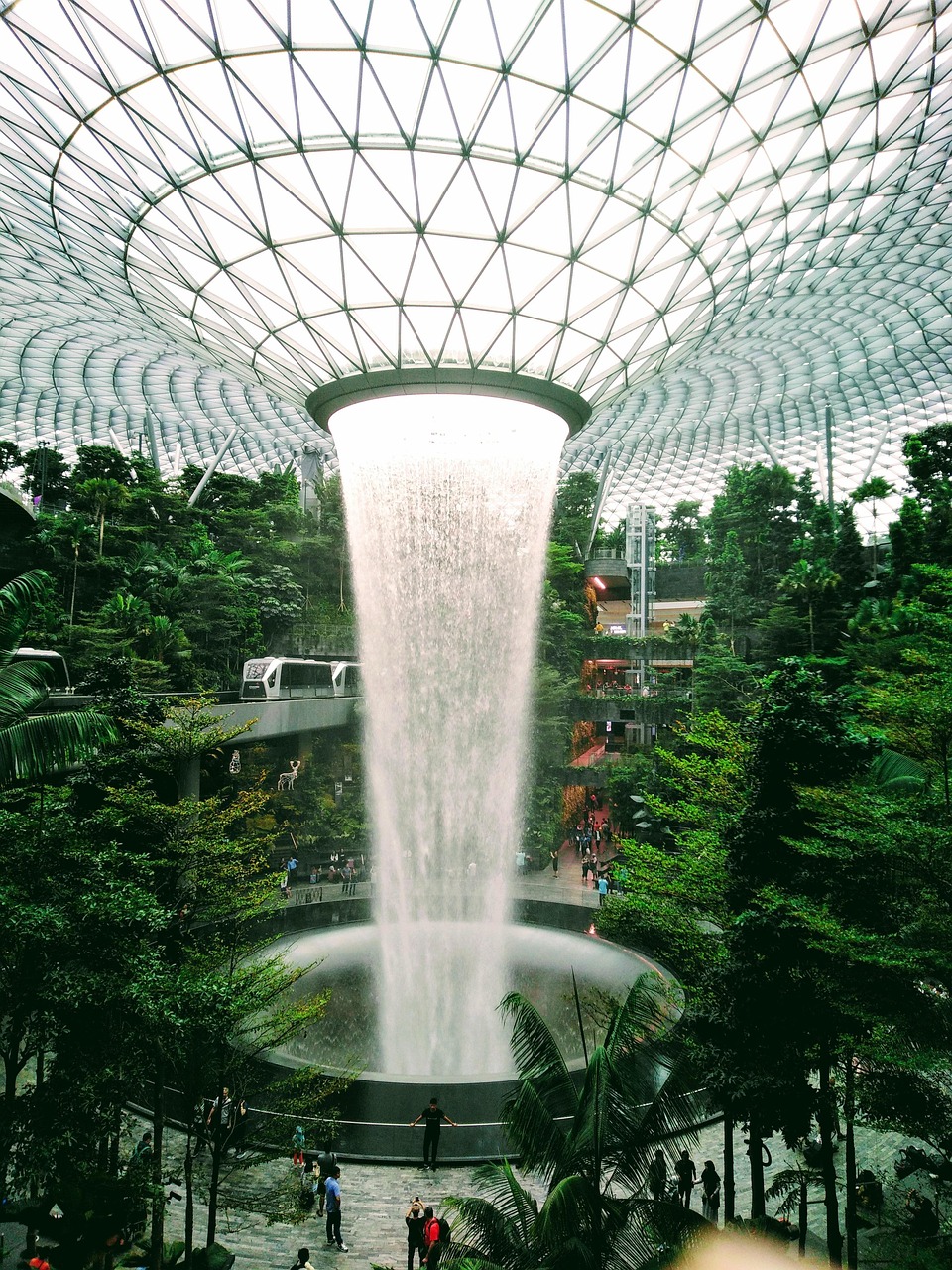 Singapura tecnologia e natureza em união